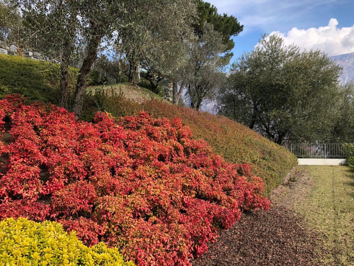 Villa Dei Sogni เบลลาโจ ภายนอก รูปภาพ